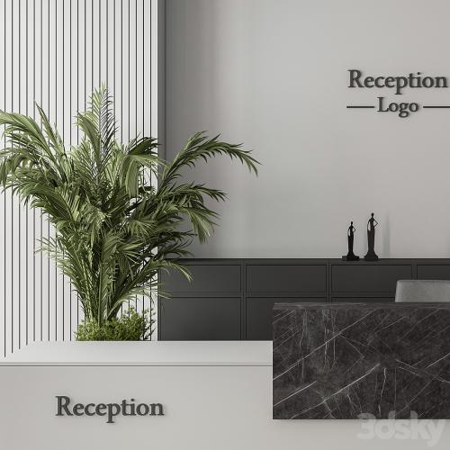 Reception Desk and Wall Decoration - Office Set 311