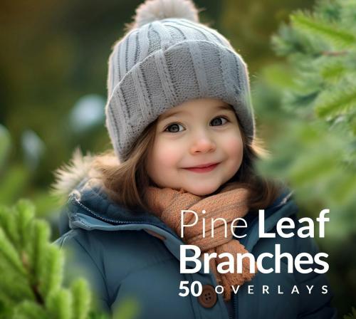 Pine Branches Christmas transparent PNG Overlays