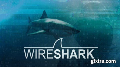 Wireshark: Packet Analysis And Ethical Hacking: Core Skills