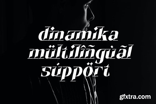 Dinamika - Modern Luxury Font 86PFP45