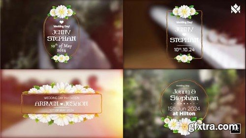 Videohive Wedding title V.01 50284393