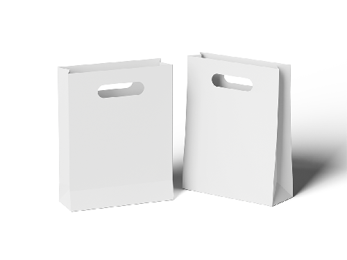 Paper Bag Mockup