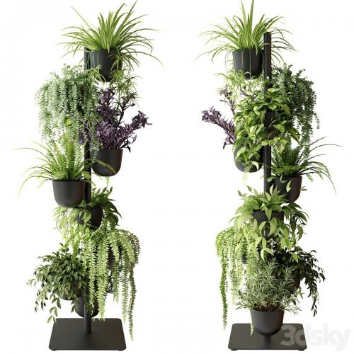 Rack with indoor plants in pots