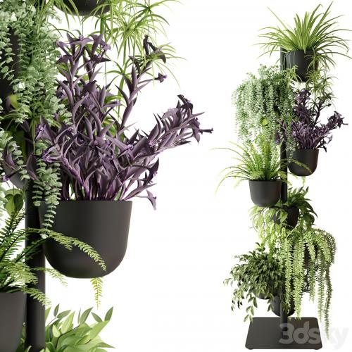 Rack with indoor plants in pots