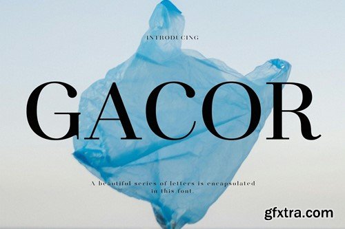 Gacor Modern Serif Font ZUHKM53