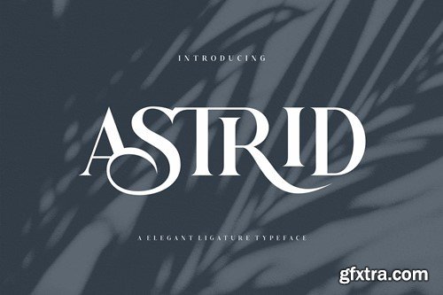 Astrid Elegant Ligature Typeface V9NKV6C