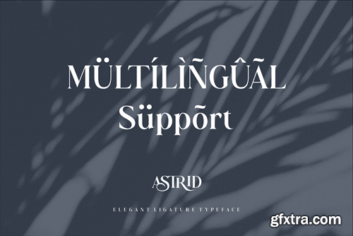 Astrid Elegant Ligature Typeface V9NKV6C