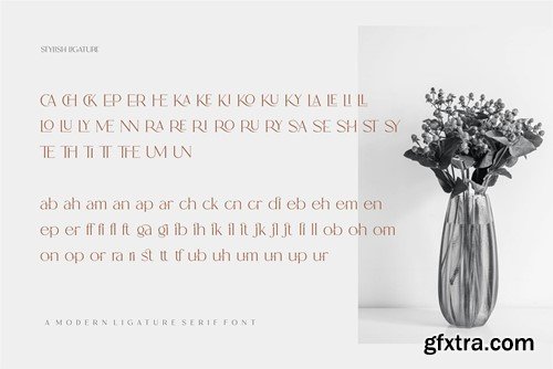 RANSE Modern Ligature Serif Font PZWNYSR