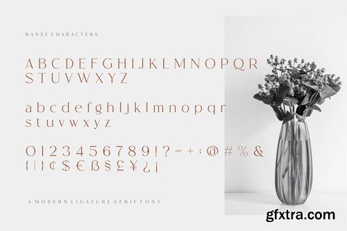 RANSE Modern Ligature Serif Font PZWNYSR