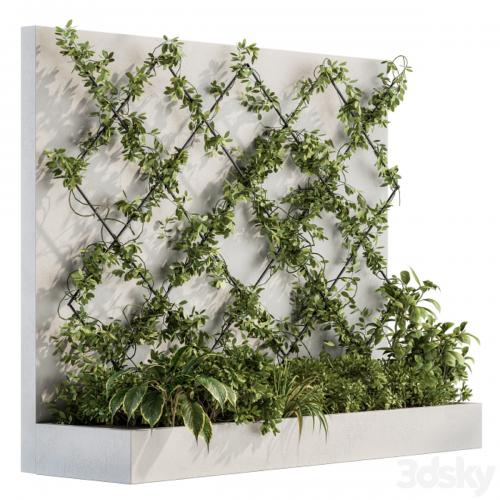 Vertical Garden - Wall Decor 24