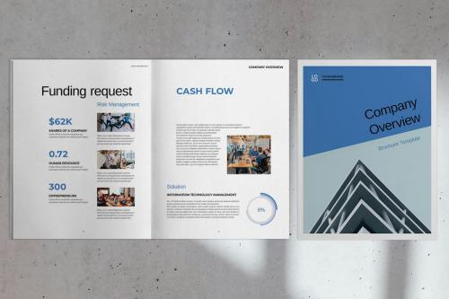 Blue Company Overview Brochure