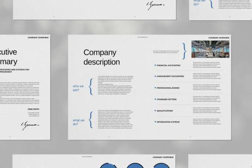 Blue Company Overview Brochure