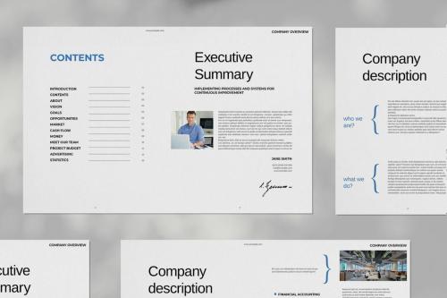 Blue Company Overview Brochure