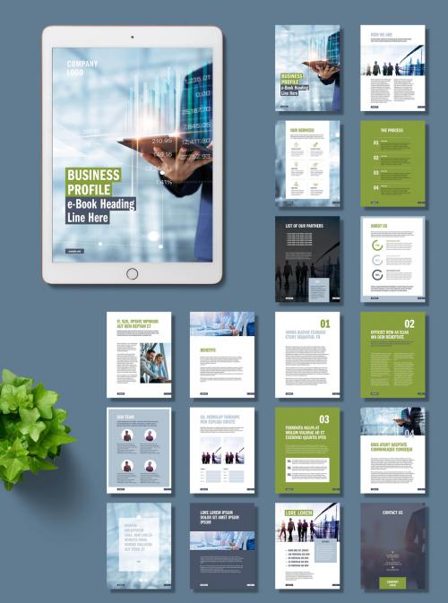 Business Profile E-Book Layout  - 366779898