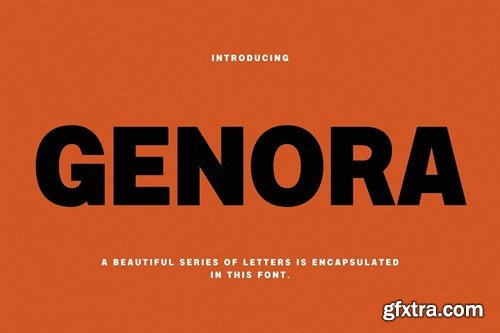 Genora Modern Sans Font D747MZE