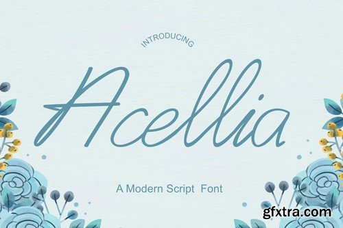 Acellia - Modern Script Font R89U2HN