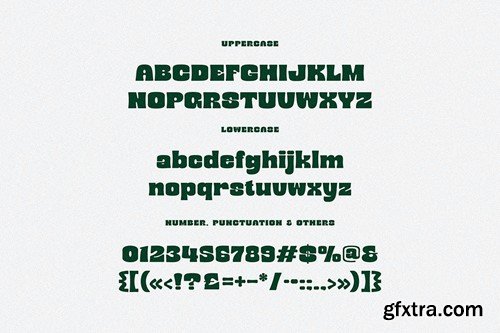 Mibery Retro Bold Serif SJMRAMZ