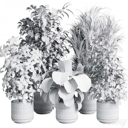 indoor plant set 308 pot palm ficus rubbery monstera concrete dirt vase