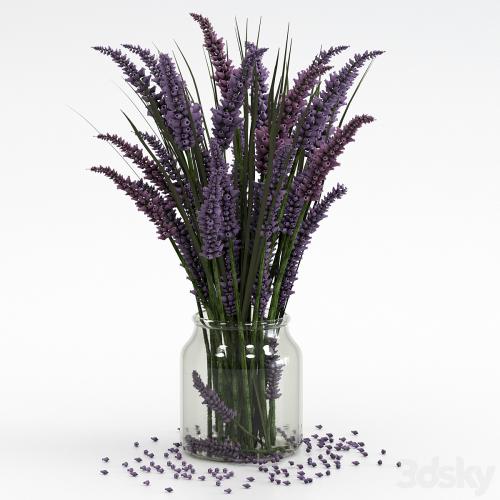 Bouquet of lavender.