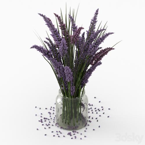 Bouquet of lavender.