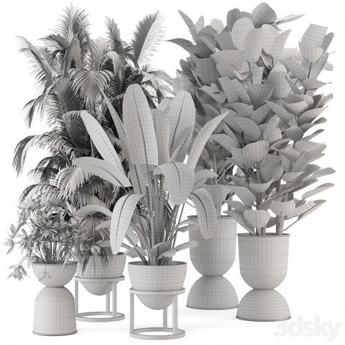 Indoor Plants in rusty Concrete Pot on Metal Shelf - Set 242