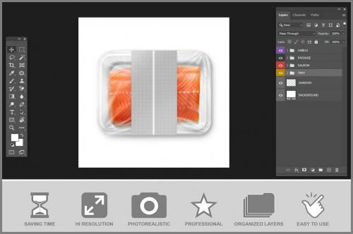 Plastic Tray Mockup - Salmon