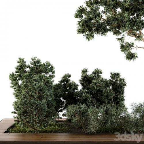 Garden set bush and Tree - Garden Set 06