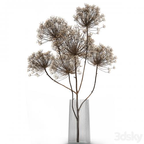 Bouquet of dried flowers in a glass vase with dry branches Hogweed . 158.