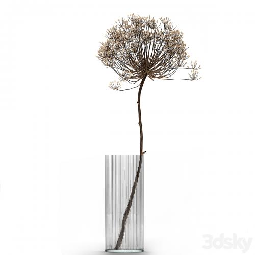 Bouquet of dried flowers in a glass vase with dry branches Hogweed . 158.