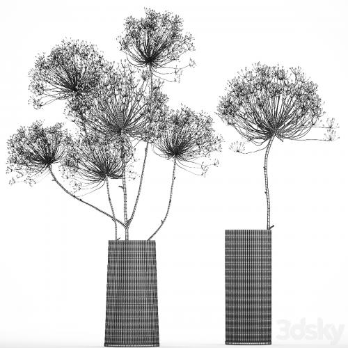 Bouquet of dried flowers in a glass vase with dry branches Hogweed . 158.