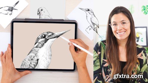 Drawings Birds in Procreate: From Sketch to Mastery