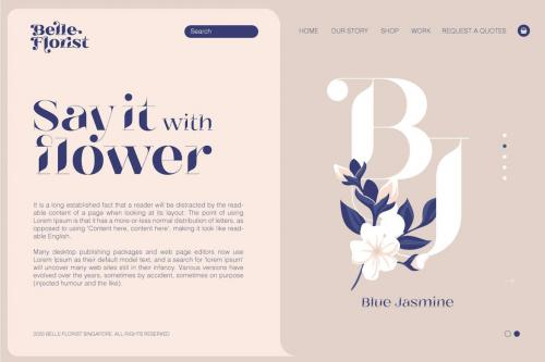 Belle Story - beauty serif family