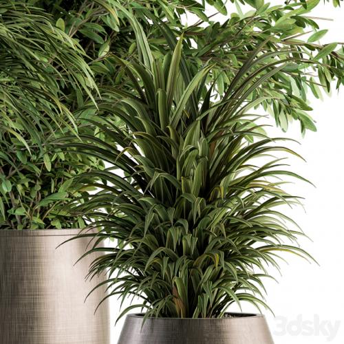 indoor Plant Set 112 - Tropical Plants