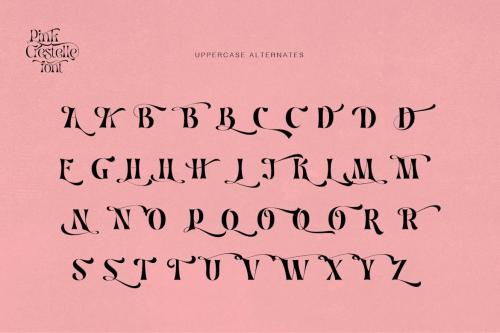 Pink Crestelle - Fancy Font