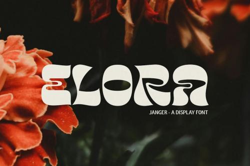 Janger - Display Font