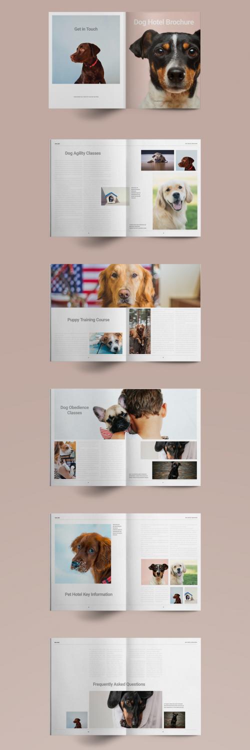 Dog Hotel Brochure Layout - 374192649