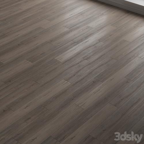 Laminate. Parquet. 22