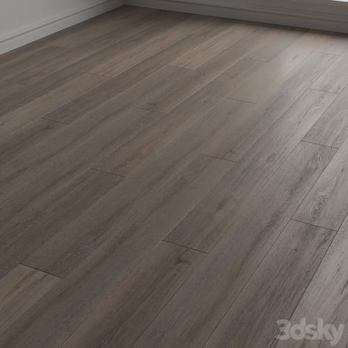 Laminate. Parquet. 22