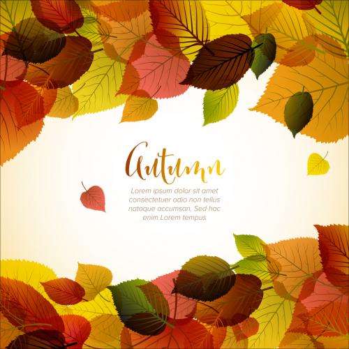 Autumn Leaves Background Digital Flyer Layout - 374999800