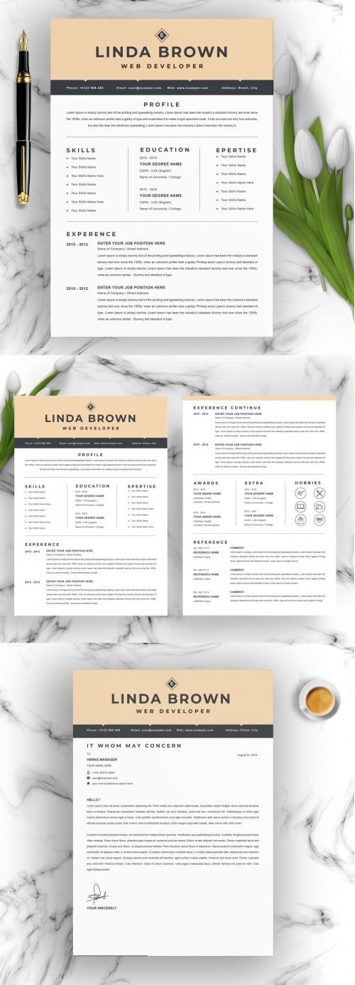 Professional Resume CV - 375431054