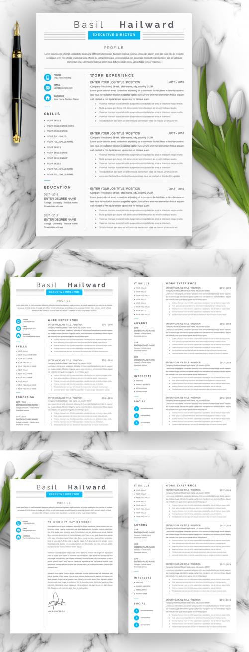 Professional Resume and Cover Letter - 375431072