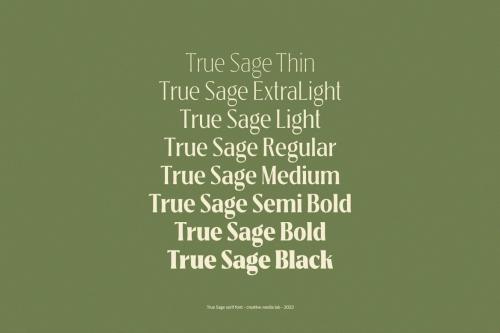 True Sage - Modern Vintage Victorian font