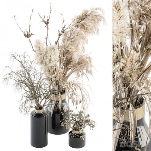 Dry plants 70 - Dried Pampas Set