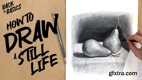 Back to Basics: How to Draw a Still Life