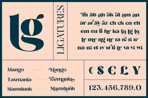 Losta Masta Font - Groovy Retro Serif Family