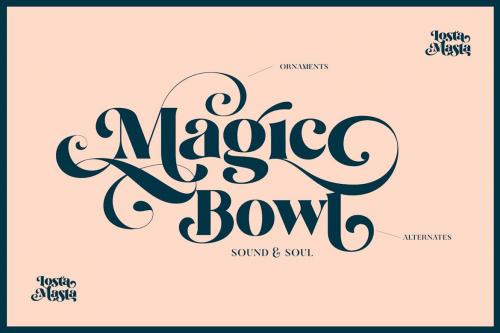 Losta Masta Font - Groovy Retro Serif Family