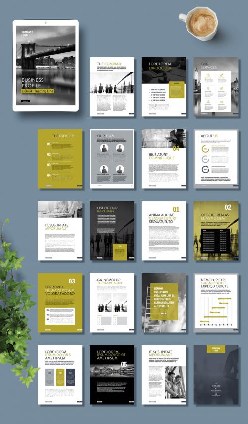 Business Profile Ebook Layout  - 377366722