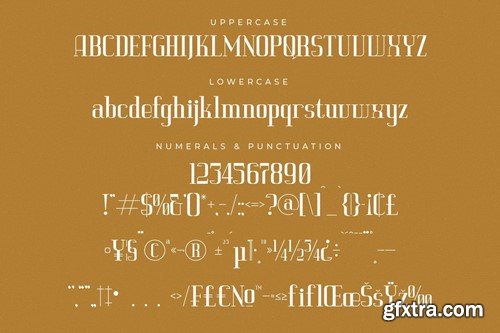 Vittorika Modern Serif Font HHJDDJT