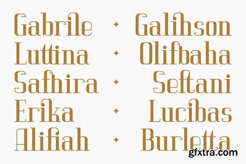 Vittorika Modern Serif Font HHJDDJT