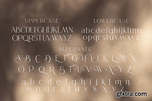 Queensila - Comely Styled Serif Font 53BRDJA